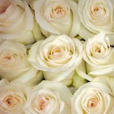 Roses Candelight (3 stems)