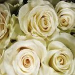 Roses Mondial (5 stems)