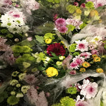 Chrysanthemum Assorted Spray
